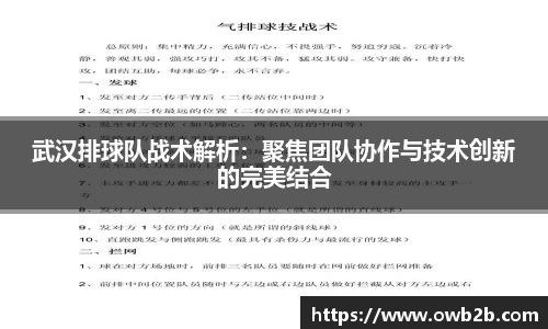 武汉排球队战术解析：聚焦团队协作与技术创新的完美结合